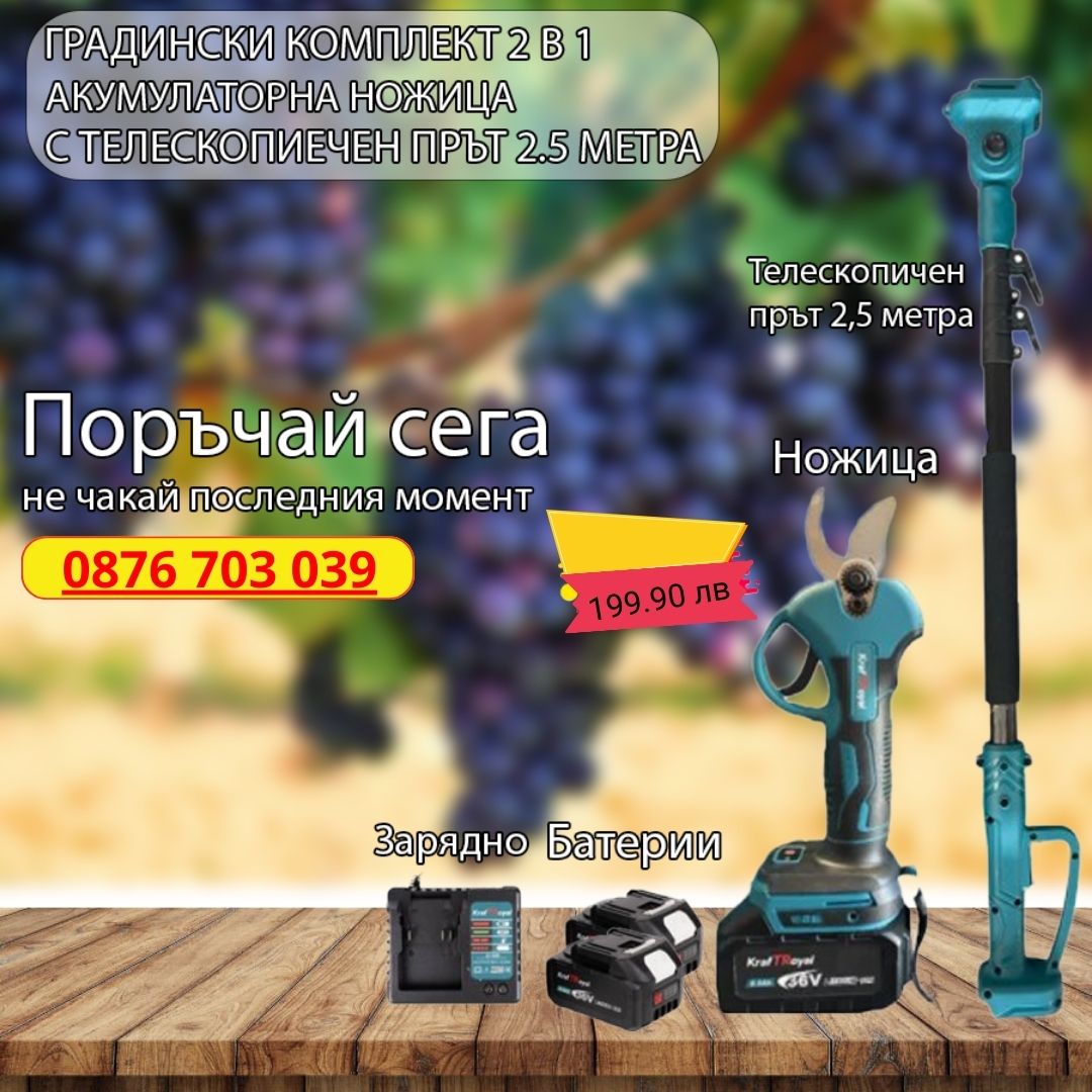 Комплект акумулаторна лозарска ножица с телескопичен прът 2 в 1